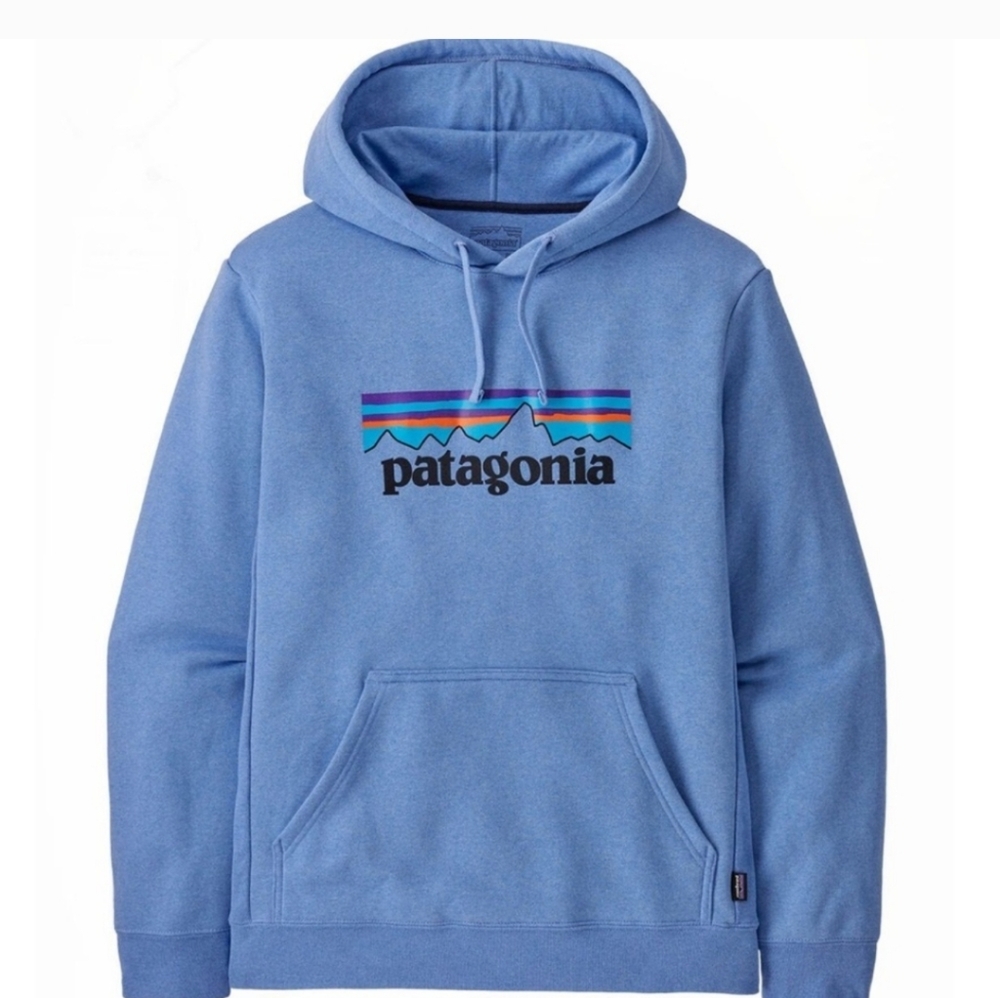 Patagonia Men's Sky Blue Hoodie
